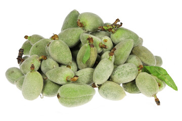 green almonds (cagla badem) from Turkey isolated on white background