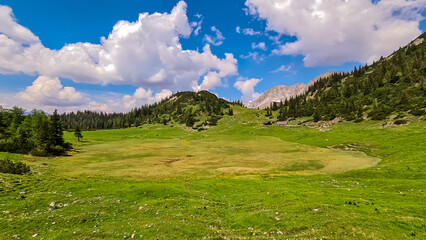 Scenic view of lush green alpine meadow on Sackwiesenalm surrounded by majestic Hochschwab...