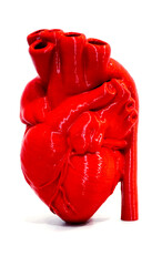 A prototype of a human heart 3D printed from molten red plastic. Model of a human heart printed on a 3D printer isolated on a white background. New modern additive 3D printing medical technologies