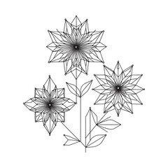 flowers in one line. minimalism with one line, geometric lines of flowers with one line. Vector graphics