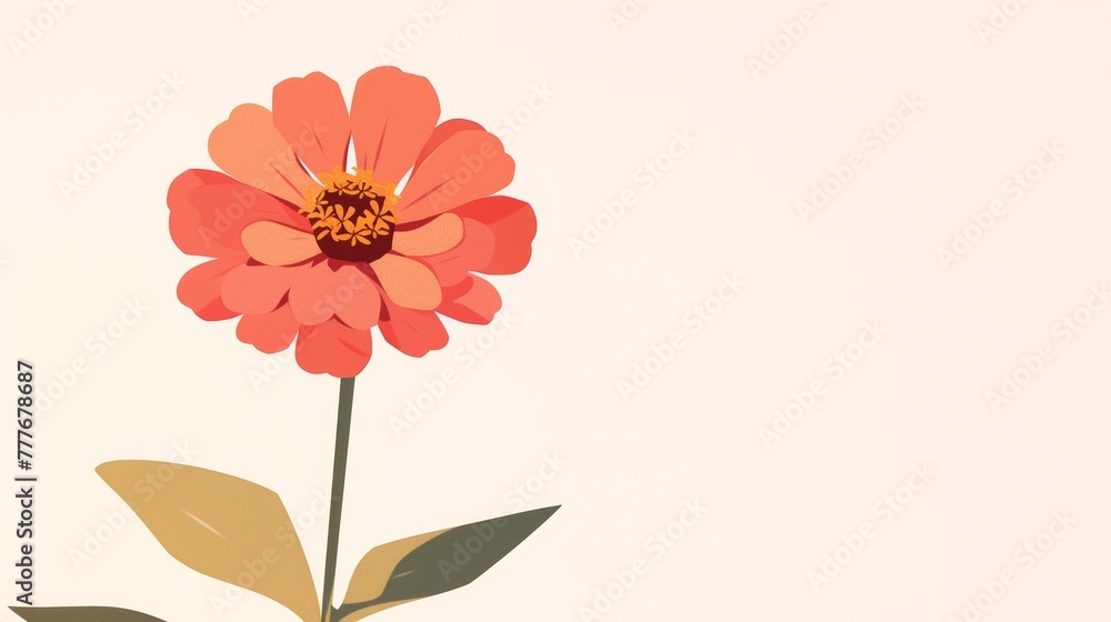 Poster minimal zinnia bloom illustration on plain background generative ai