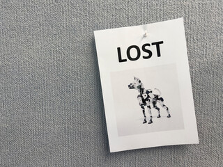 Lost poster for robot dog