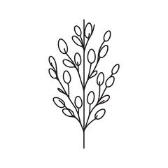 Willow plant drawing concept with one line. Continuous line drawing graphic vector illustration. fluffy plant, salix caprea.