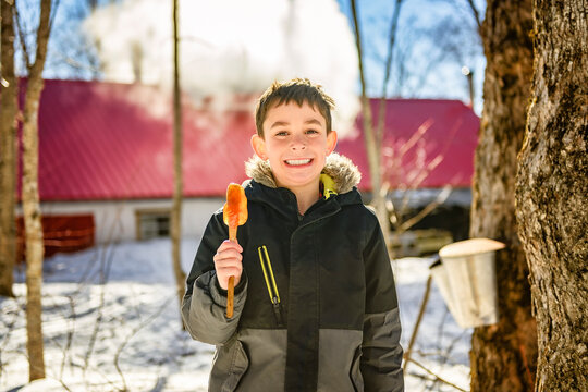 Photo showing children tasting maple syrup with wooden spoon