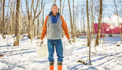sugar shack, a maple farmer wearing a traditional clothe working take maple water - 777683428