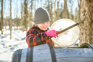 sugar shack, child having fun at mepla shack forest collect maple water - 777683683