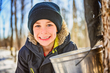 sugar shack, child having fun at mepla shack forest collect maple water - 777683889