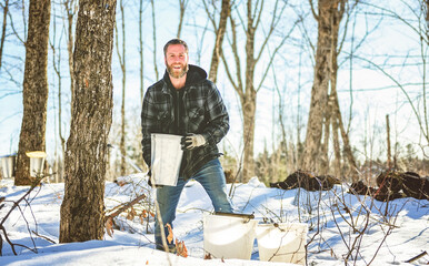 sugar shack, a maple farmer wearing a traditional clothe working take maple water - 777684016