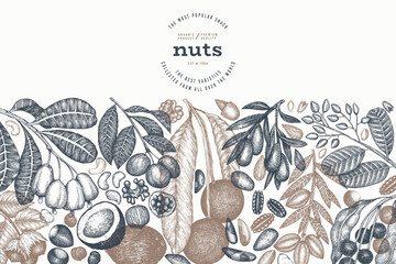 Hand Drawn Nuts Branch And Kernels  Template. Organic Seed Vector Design. Retro Nut Illustration. Engraved Style Botanical Banner. - 777684064