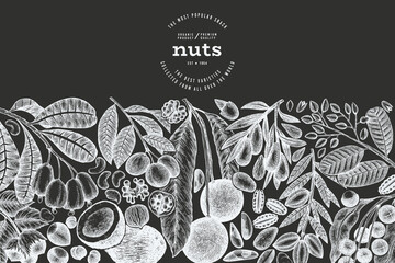 Hand Drawn Nuts Branch And Kernels  Template. Organic Seed Vector Design. Retro Chalk Board Nut Illustration.