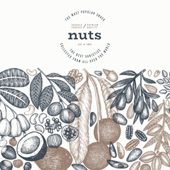 Hand Drawn Nuts Branch And Kernels  Template. Organic Seed Vector Design. Retro Nut Illustration. Engraved Style Botanical Banner. - 777684085