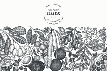 Hand Drawn Nuts Branch And Kernels  Template. Organic Seed Vector Design. Retro Nut Illustration. Engraved Style Botanical Banner. - 777684091