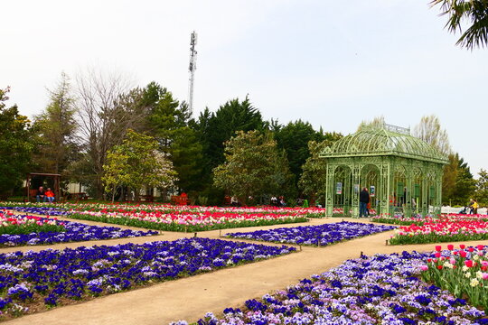 Fr&uuml;hling in den Blumeng&auml;rten Hirschstetten