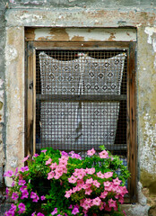 Old stone wall with a brown wooden framed window with lace curtains and a flower box with flowering Petunia plants in summer in Italy.