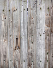 Texture of old wood wall, fence.