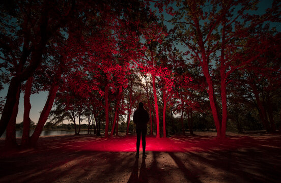 Dreamlike human in forest with red light at night