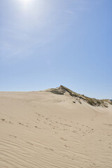 Fototapeta na wymiar Lithuanian dunes sandy grass and clear sky