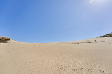 Lithuanian dunes sandy grass and clear sky - obrazy, fototapety, plakaty