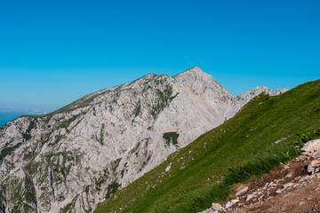 Scenic view of majestic mountain peak Hochstuhl (Stol) in untamed Karawanks, border Slovenia Austria. Looking through lush forest. Hiking wanderlust in wilderness of Slovenian Alps in summer