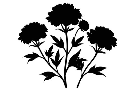 black peony flowers silhouette on white background clip art preview