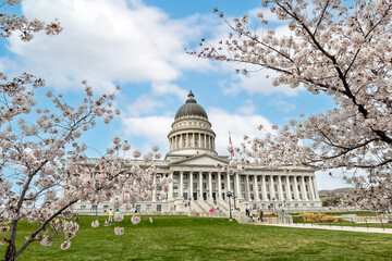 Utah State Capital Building with Cherry Blossoms