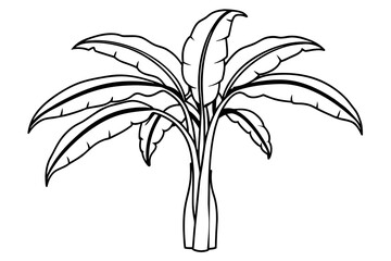 banana tree silhouette vector illustration