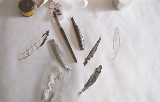 Fish Printing Process