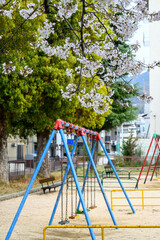 桜の咲く公園　ブランコとベンチ