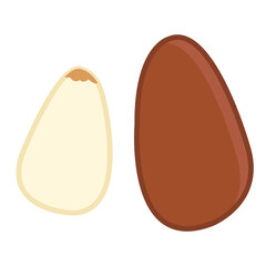 Nut snacks colored icon pack