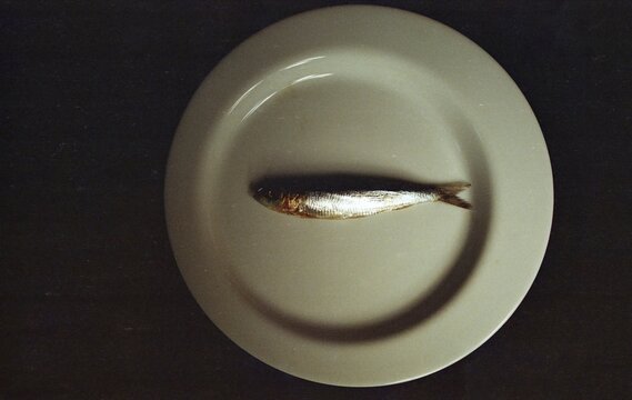 Single sardine