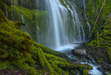 Obraz premium Seeing Beyond The Veil