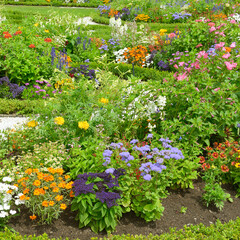 Blossoming flowerbed in the park - 777703033