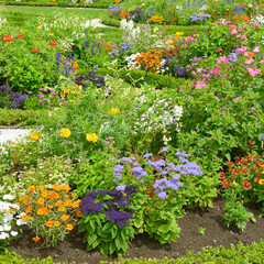 Blossoming flowerbed in the park