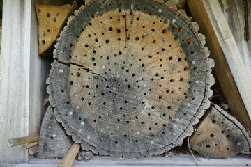 Bug hotel