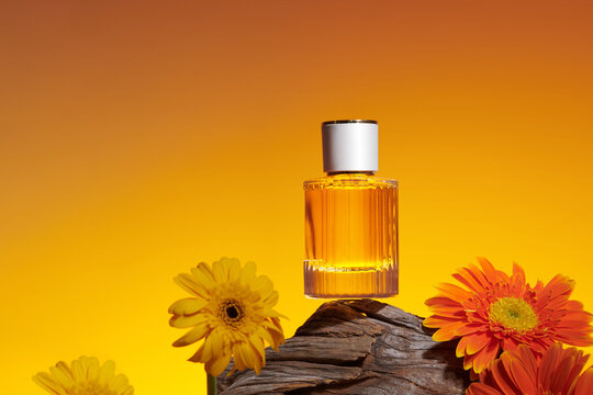 still life with yellow perfume bottle and gerbera flowers