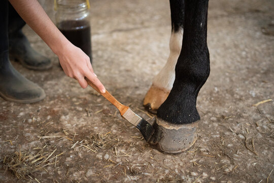 teenager in equestrian therapy class