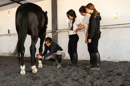 woman bandaging a horse's leg 