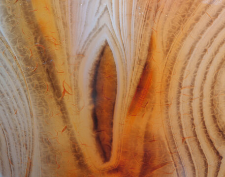 red lace agate detail texture