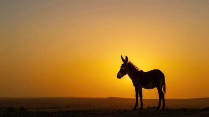 Fototapeta na wymiar Silhouette of donkey against vivid sunset sky with clear horizon in backdrop