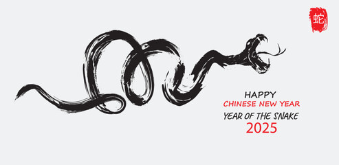 Chinese's Snake Year of the Ink Painting, translation: snake.
