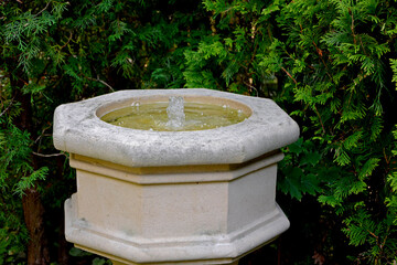 mała fontanna w ogrodzie, kamienna fontanna ogrodowa, mall fountain in the garden, water gushing from the garden fountain	