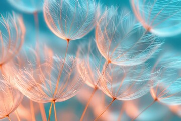 Dandelion seeds on blue - Powered by Adobe