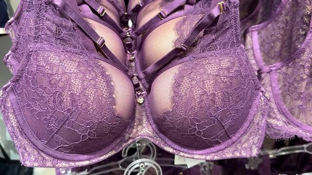 Purple female bra with push up. One lace bra close up. Women's sexy underwear. Classic sexy lingerie. Beautiful. Lingerie store concept