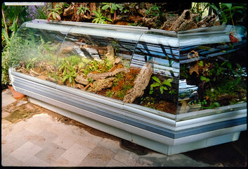 refrigerated display case with lots of green plants