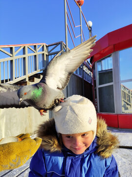 winter child with pigeon on head