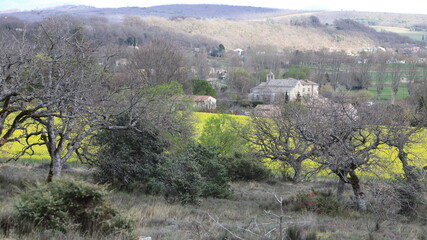 paysage de Haute Provence