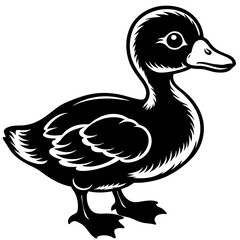 baby duck silhouette vector illustration svg file