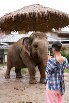 Woman taking photos to an elephant.