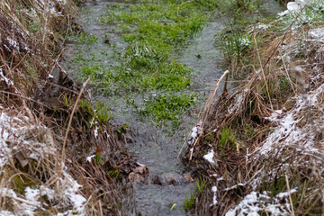 Late winter early spring weather copy space rain snow clear water flow