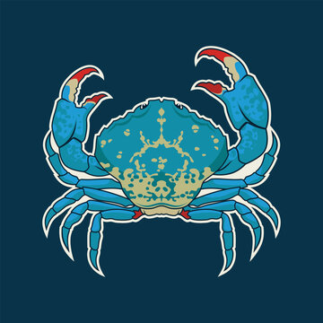 Blue Crab Sticker - vector character mascot